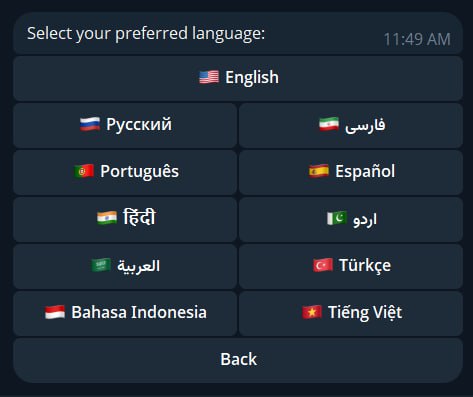 Выбор языка интерфейса с 11 вариантами.
